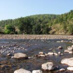 नर्मदा नदी का प्राकृतिक सौंदर्य और शांत बहता जल