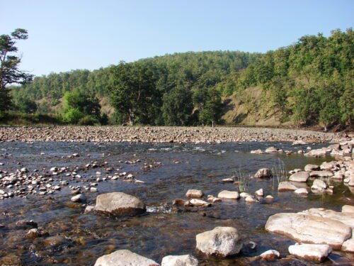 नर्मदा नदी का प्राकृतिक सौंदर्य और शांत बहता जल